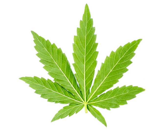 captura de pantalla 2026 03 20 163700