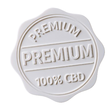 captura de pantalla 2026 03 21 000005 removebg preview